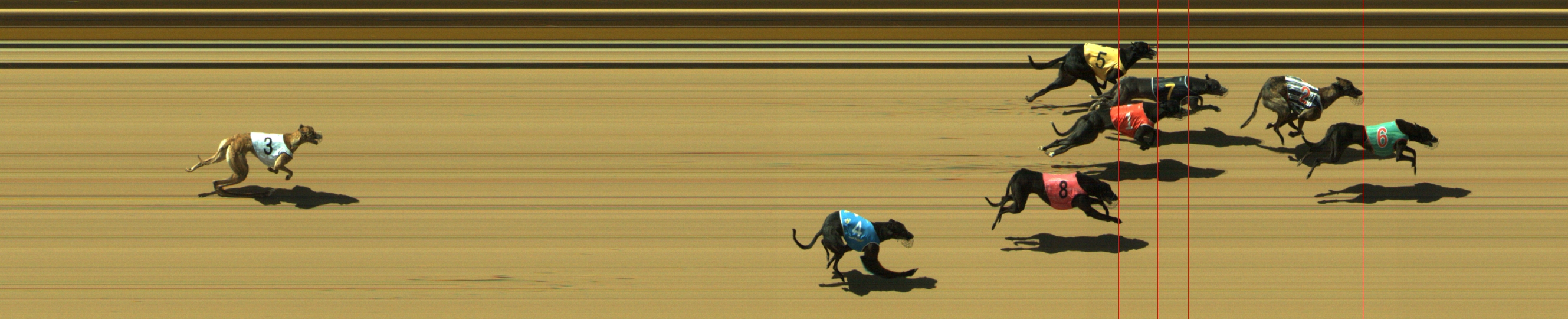 Photo finish for Geelong Race 4