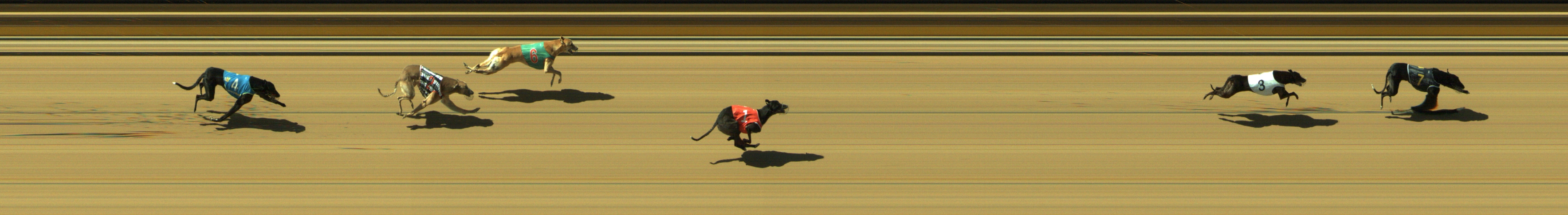 Photo finish for Geelong Race 5