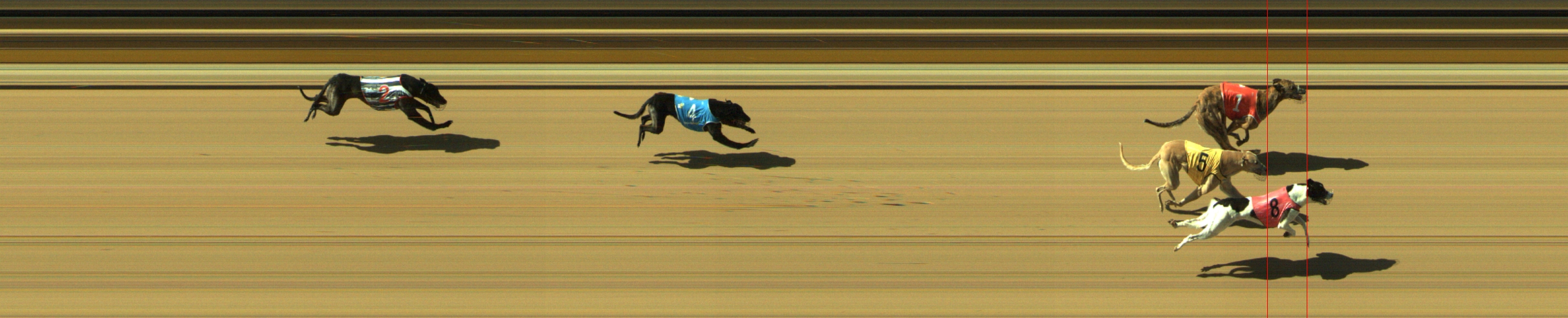 Photo finish for Geelong Race 6