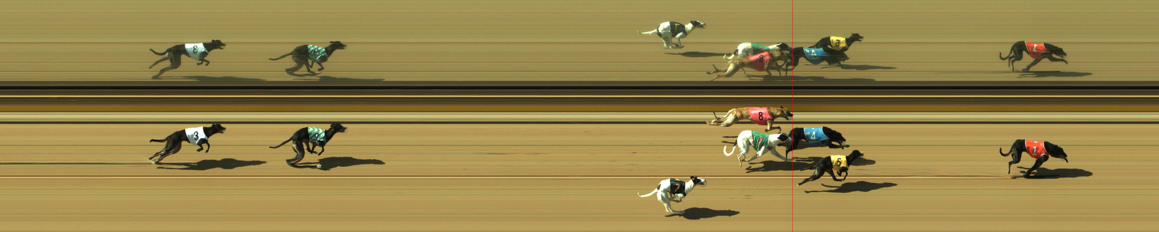 Photo finish for Geelong Race 7