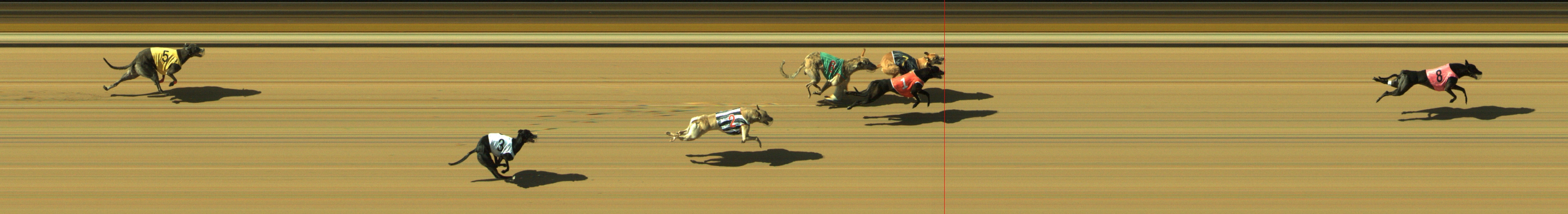 Photo finish for Geelong Race 8