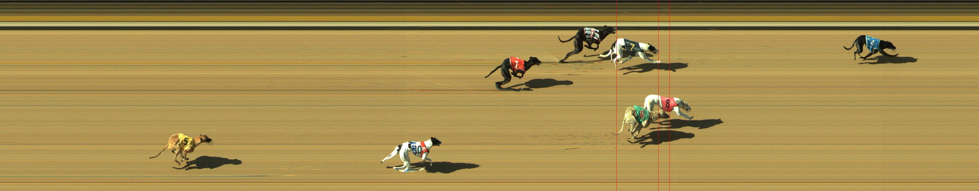 Photo finish for Geelong Race 9