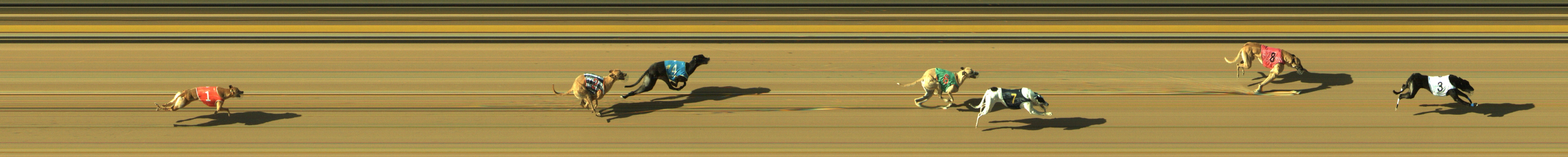 Photo finish for Geelong Race 10