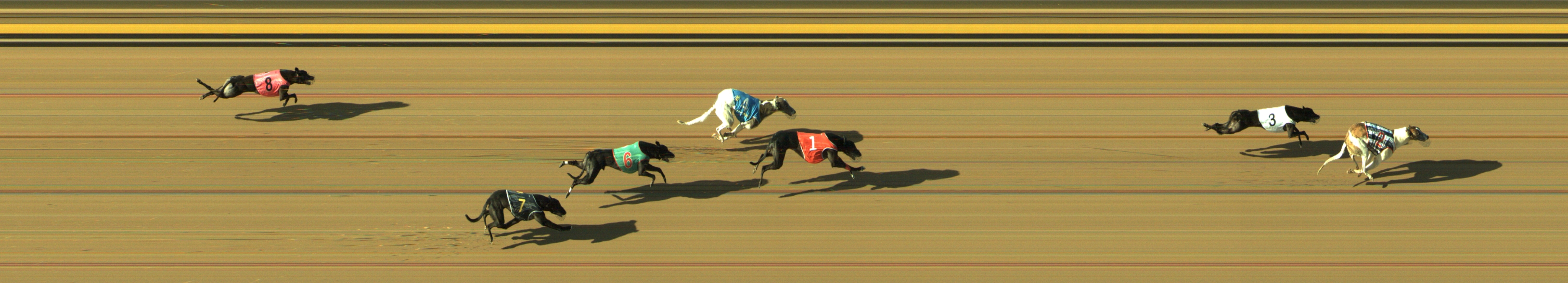 Photo finish for Geelong Race 11