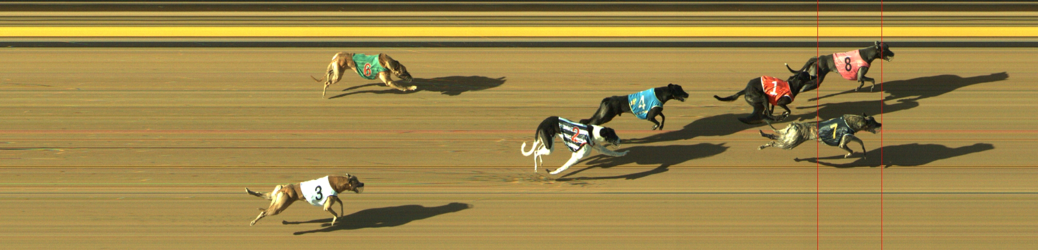 Photo finish for Geelong Race 12