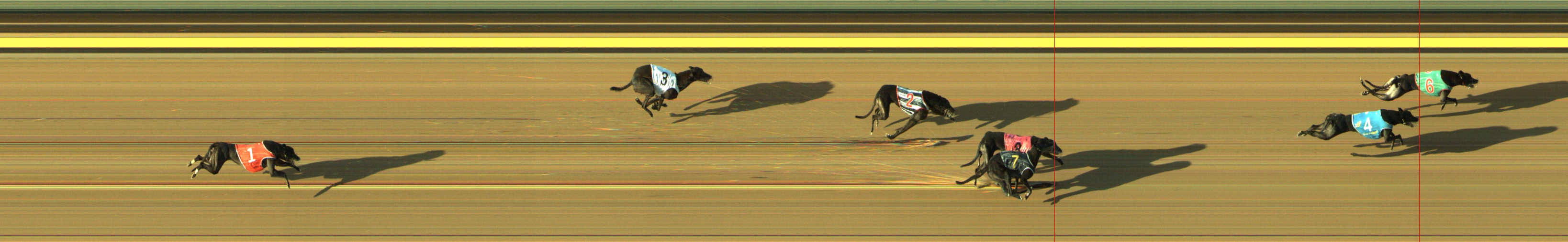 Photo finish for Geelong Race 13