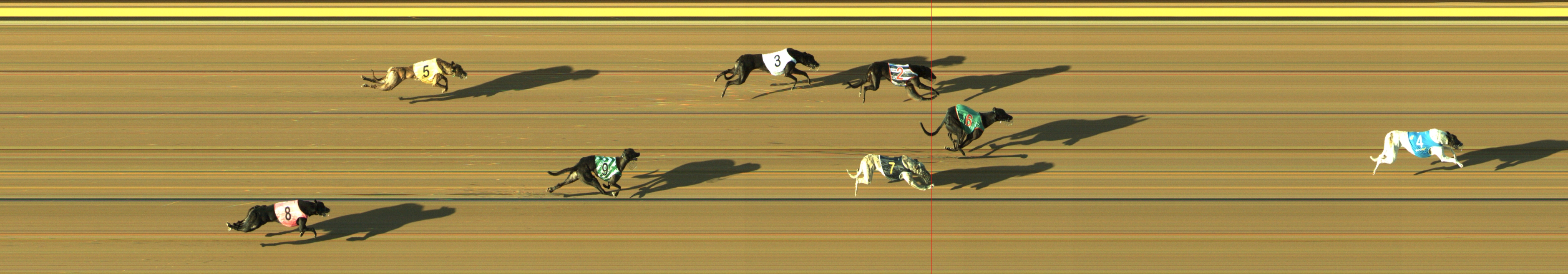 Race result finish photo