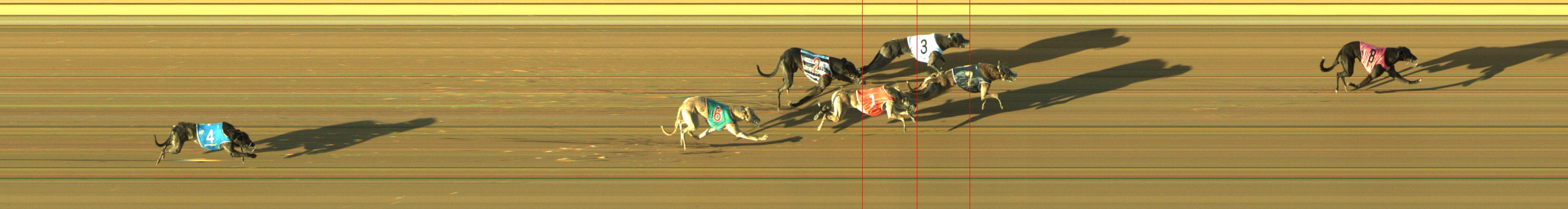 Race result finish photo