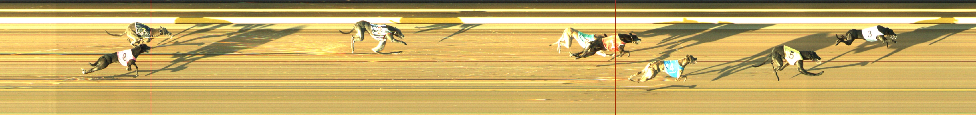 Race result finish photo