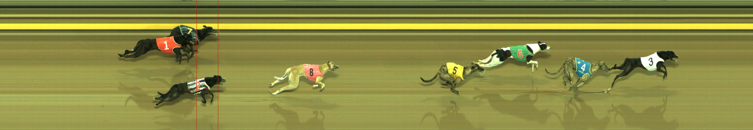 Race result finish photo