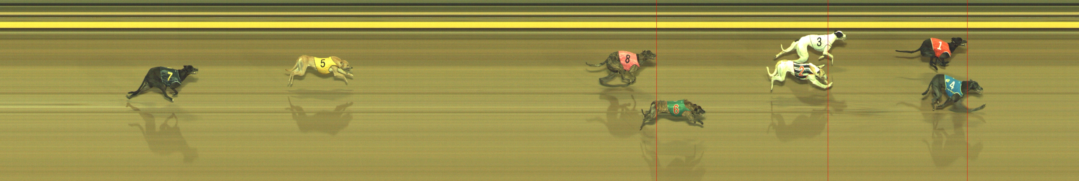 Race result finish photo