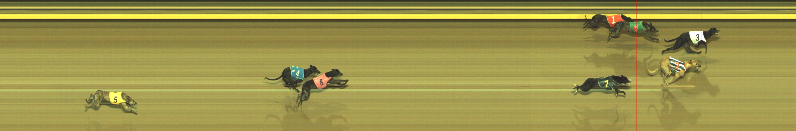 Race result finish photo