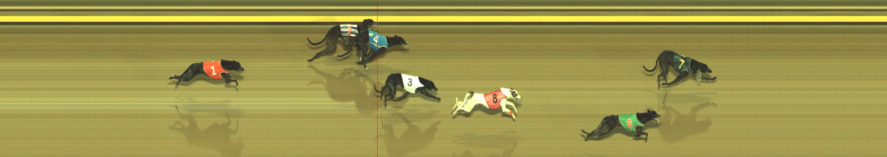 Race result finish photo