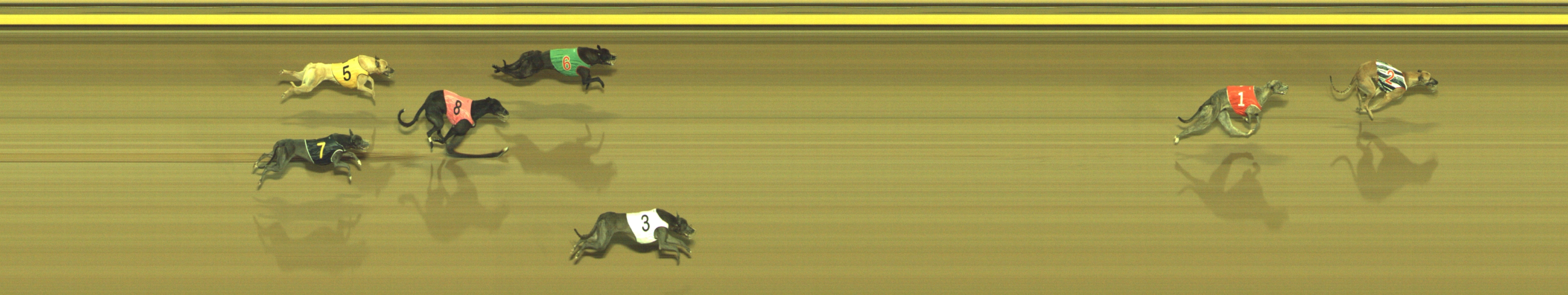 Race result finish photo