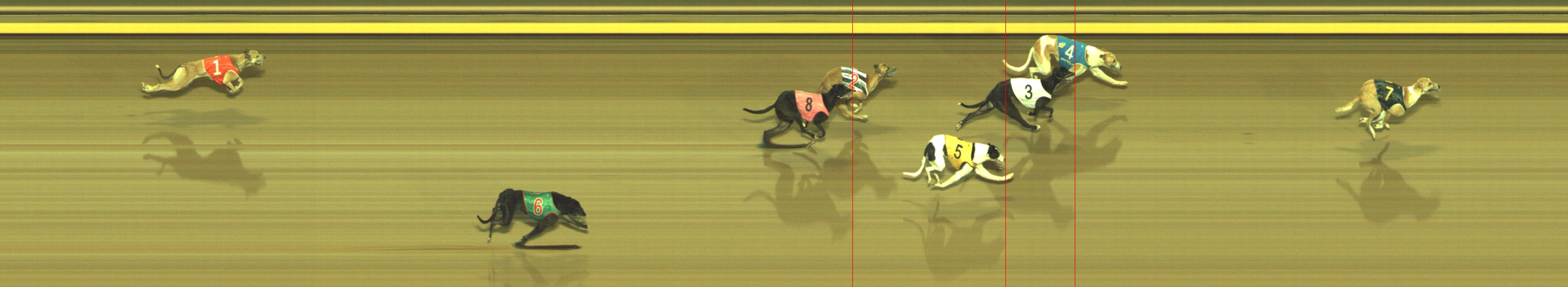 Race result finish photo