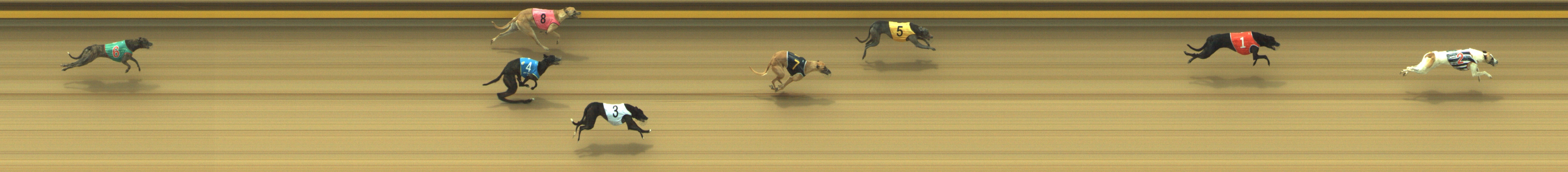 Photo finish for Geelong Race 1
