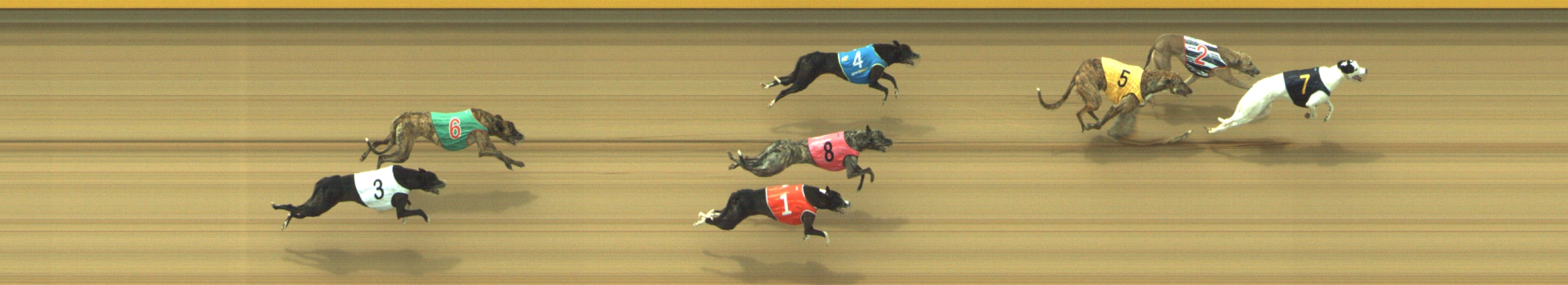 Photo finish for Geelong Race 2