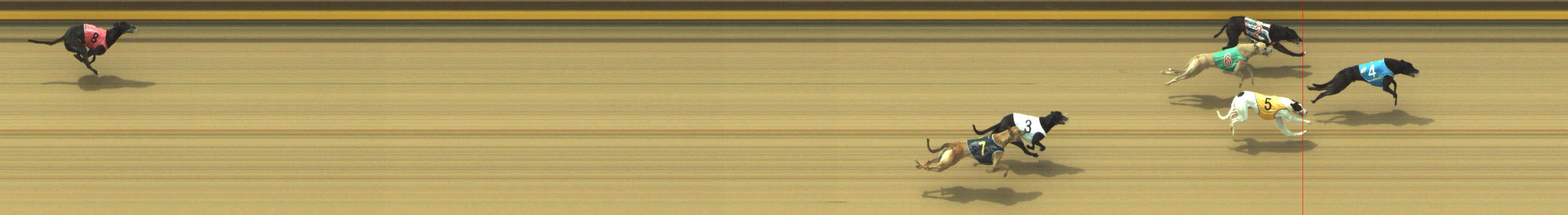 Photo finish for Geelong Race 3