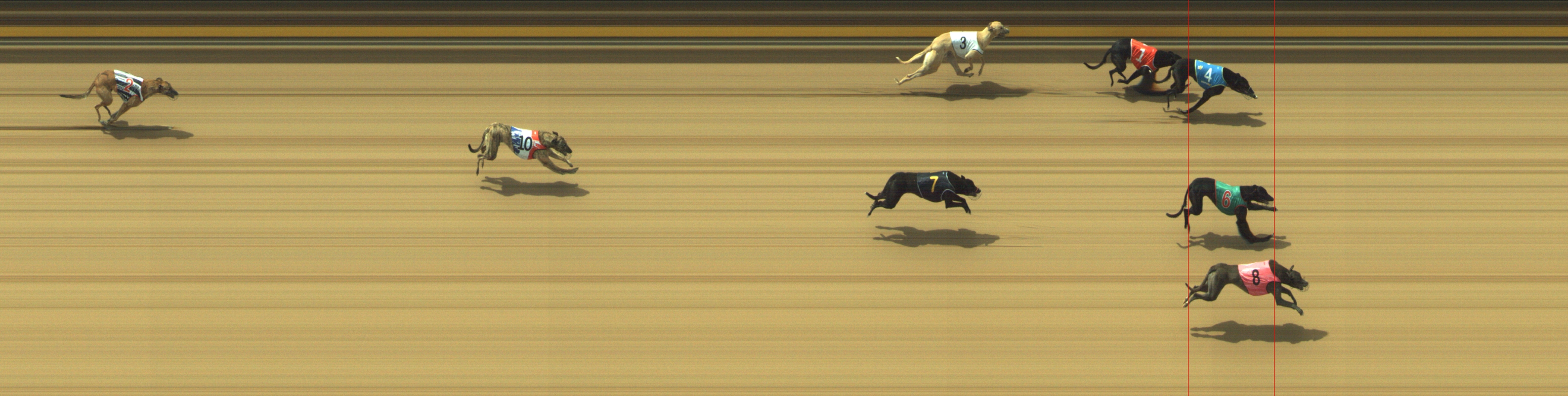 Photo finish for Geelong Race 4