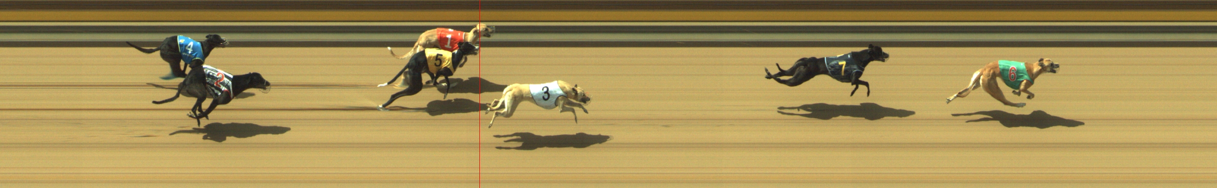 Photo finish for Geelong Race 5