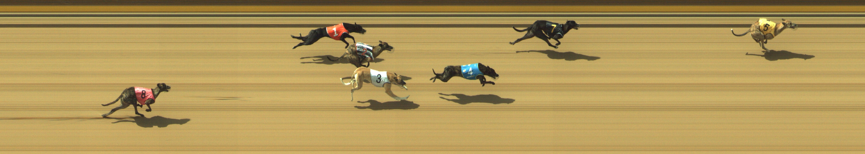 Photo finish for Geelong Race 6