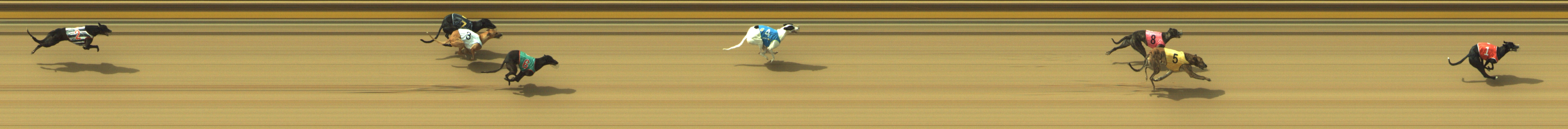 Photo finish for Geelong Race 7