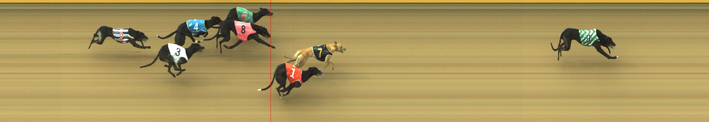 Photo finish for Geelong Race 8