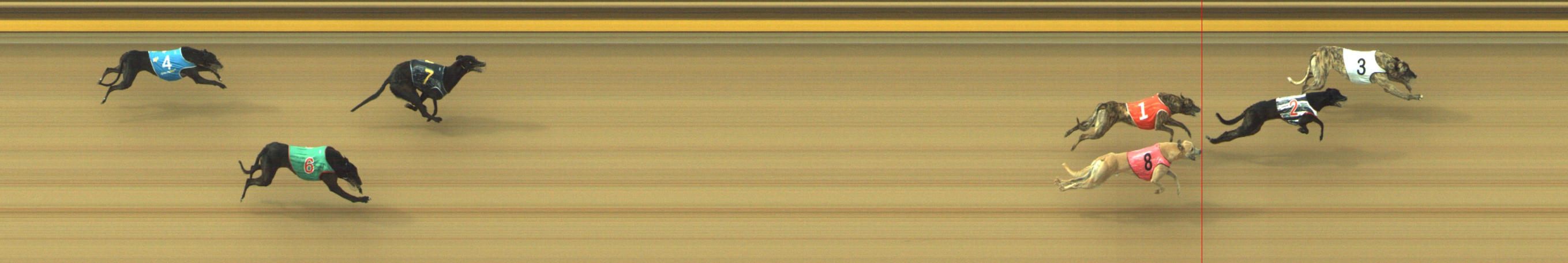 Photo finish for Geelong Race 9