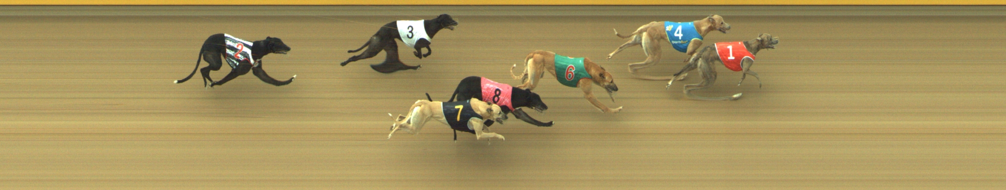Photo finish for Geelong Race 10