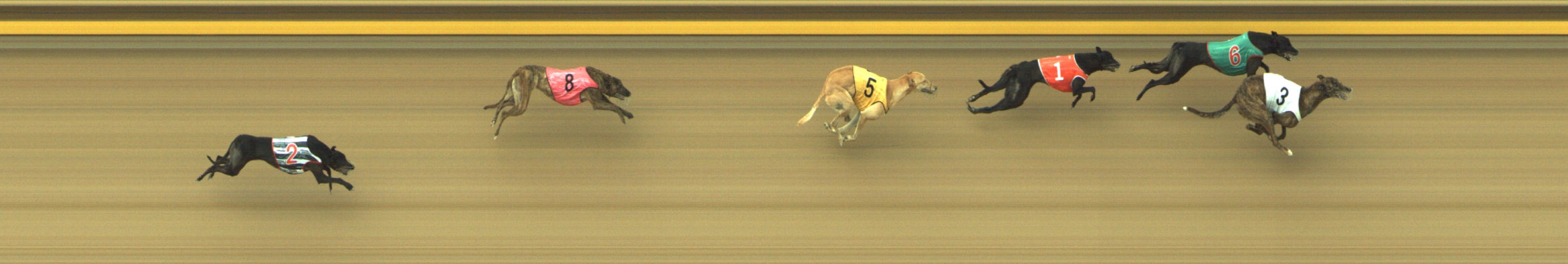 Photo finish for Geelong Race 12