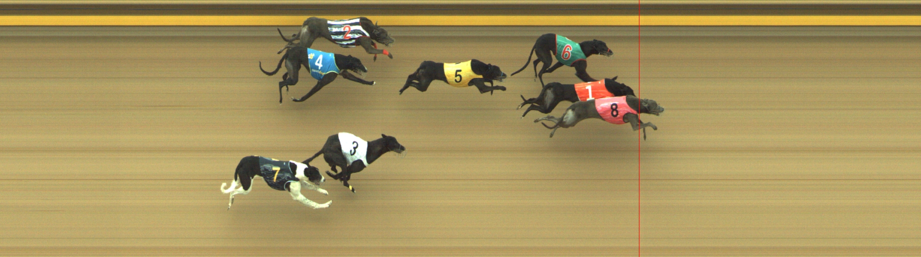 Photo finish for Geelong Race 13