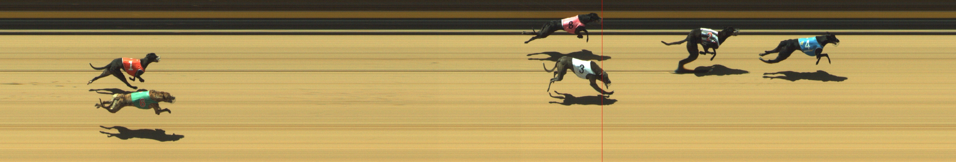 Photo finish for Geelong Race 1