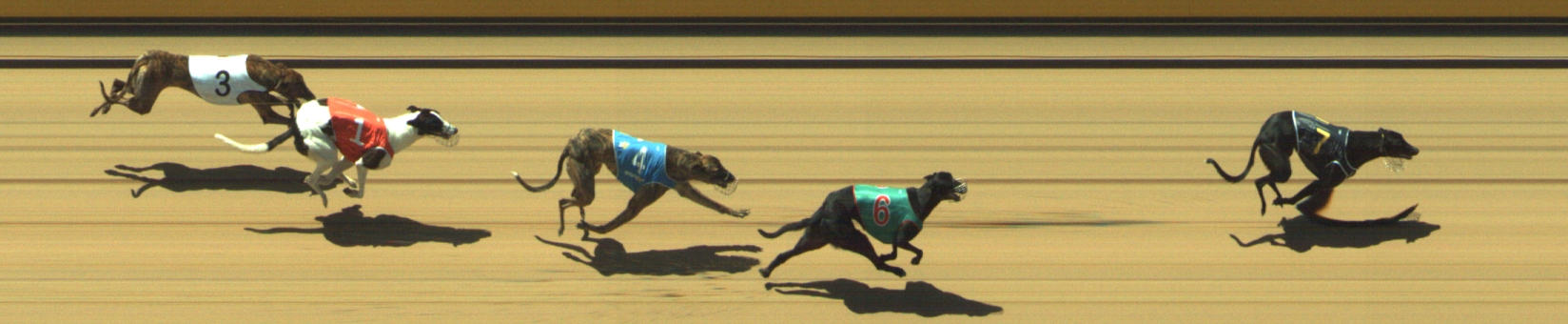 Photo finish for Geelong Race 2