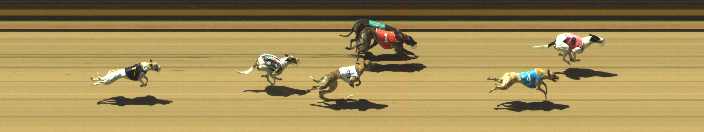 Photo finish for Geelong Race 3