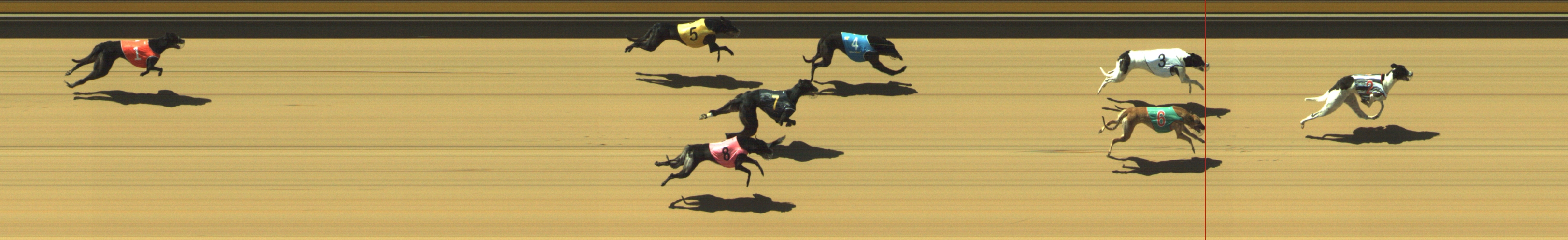 Photo finish for Geelong Race 4