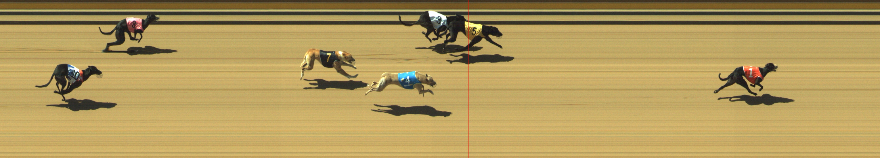 Photo finish for Geelong Race 5