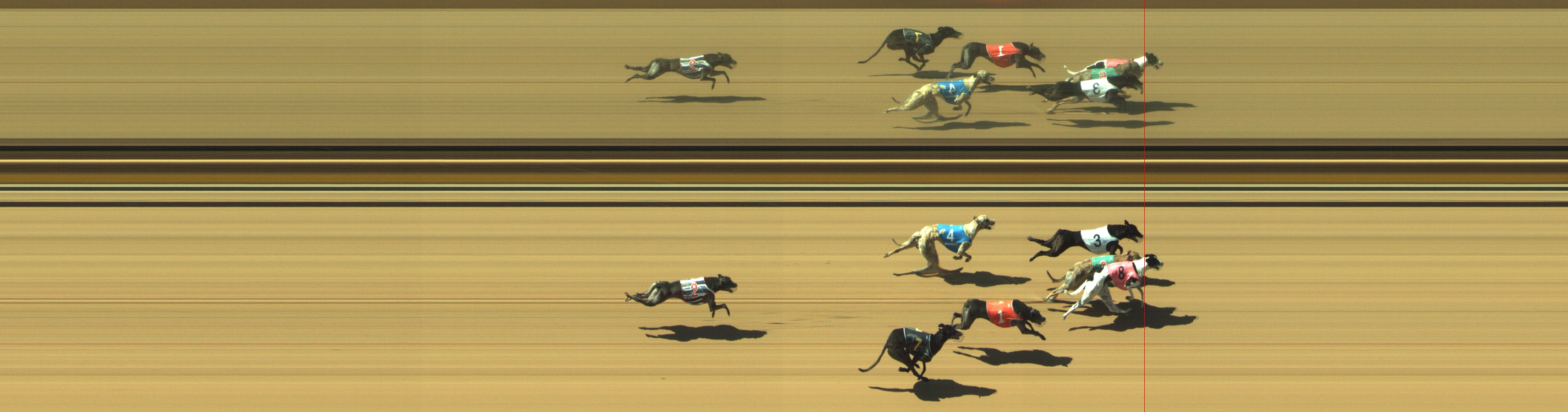 Photo finish for Geelong Race 6