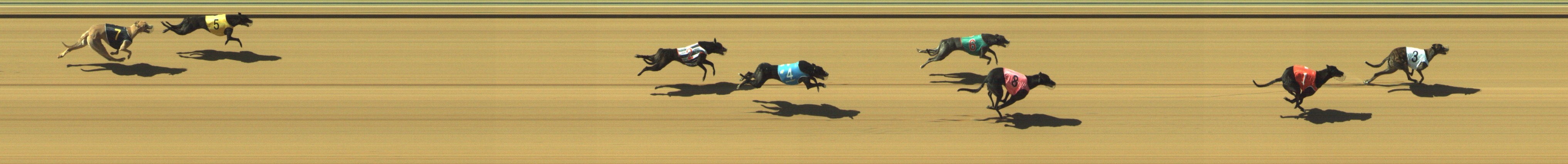 Photo finish for Geelong Race 7