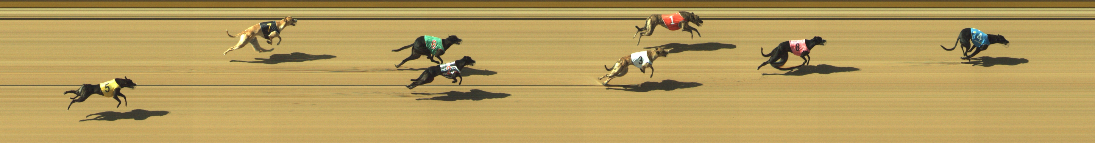 Photo finish for Geelong Race 9
