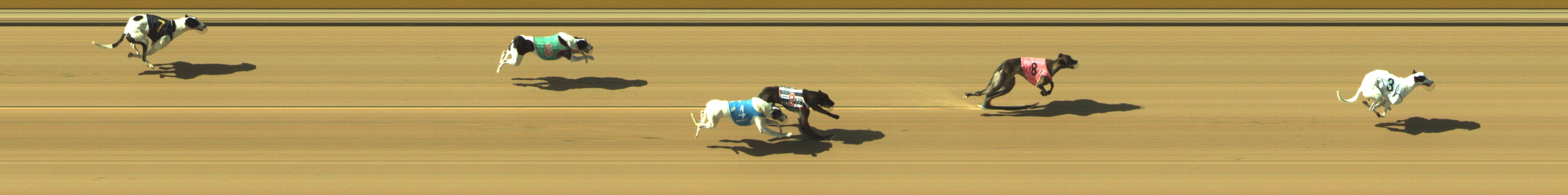 Photo finish for Geelong Race 10