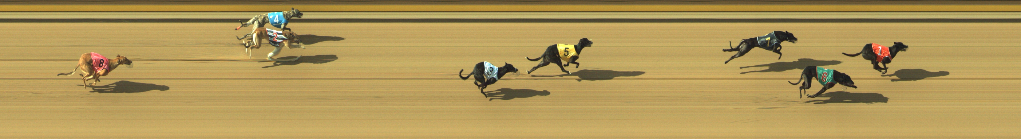 Photo finish for Geelong Race 11