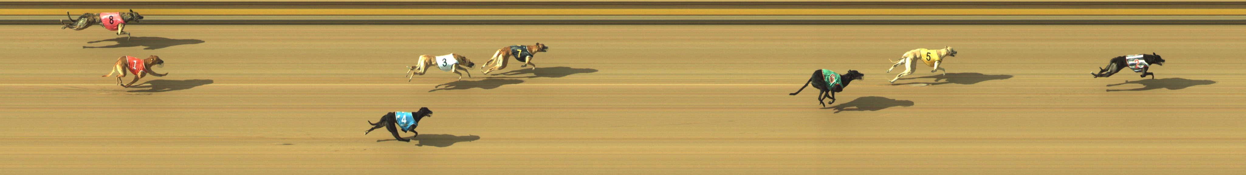 Photo finish for Geelong Race 12
