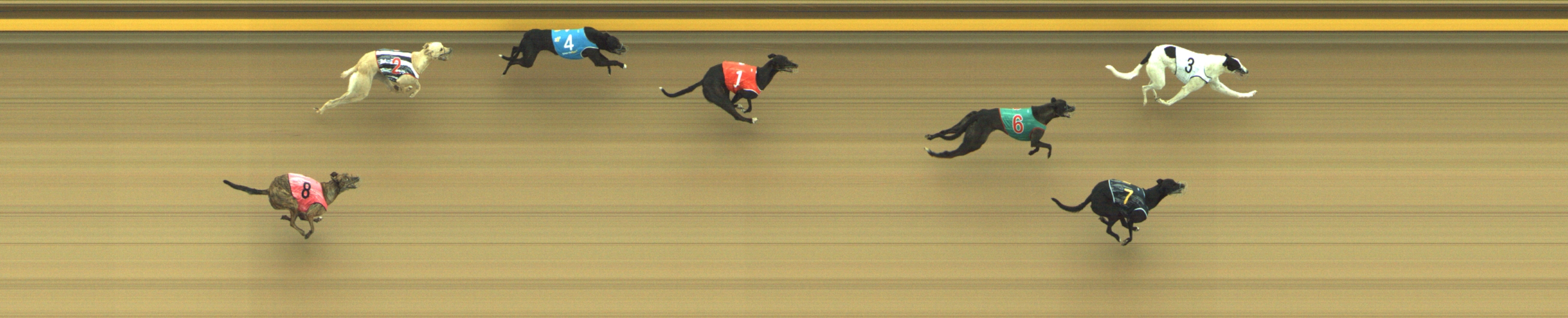 Photo finish for Geelong Race 1
