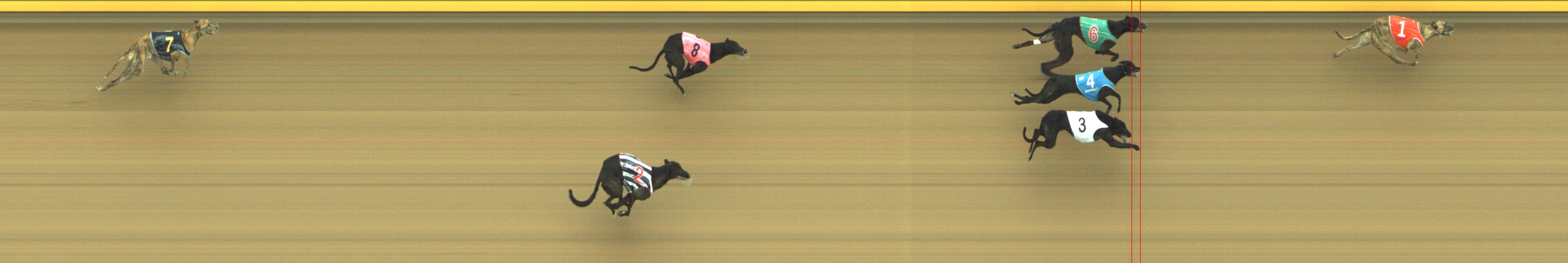 Photo finish for Geelong Race 2