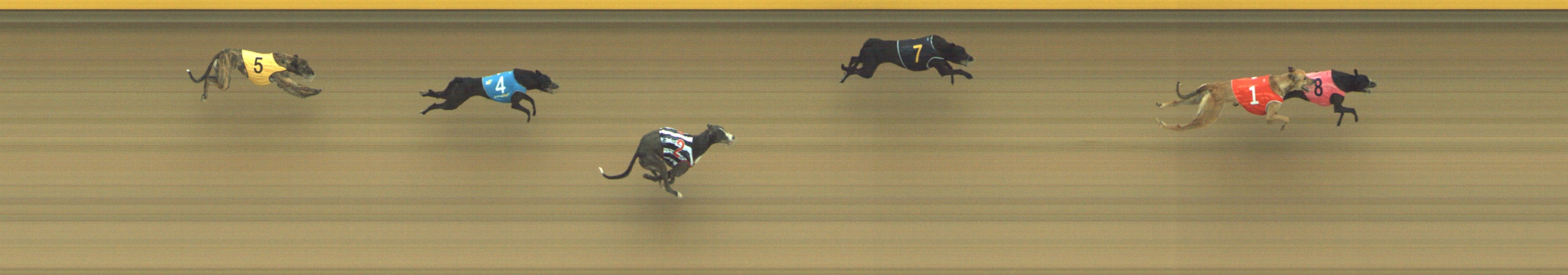 Photo finish for Geelong Race 3