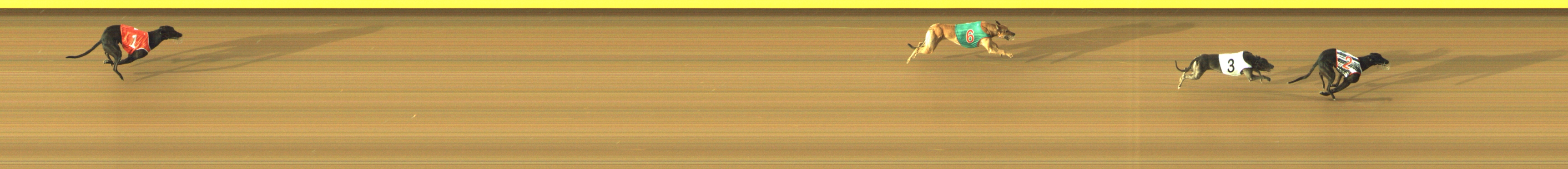 Photo finish for Geelong Race 4