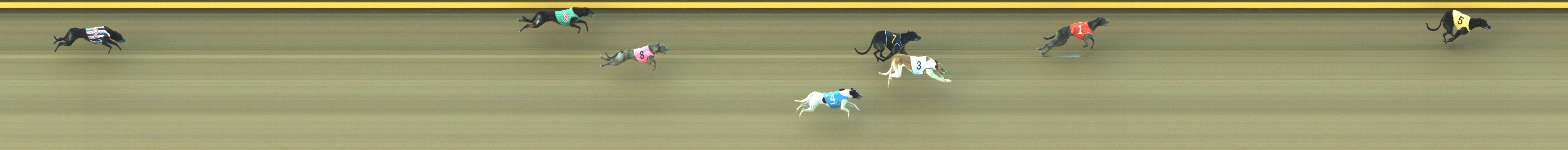 Photo finish for Geelong Race 5
