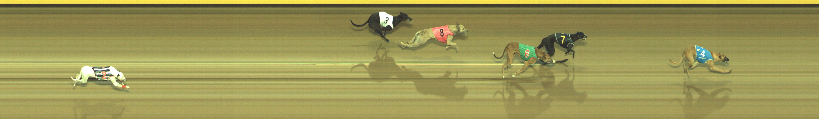 Photo finish for Geelong Race 6