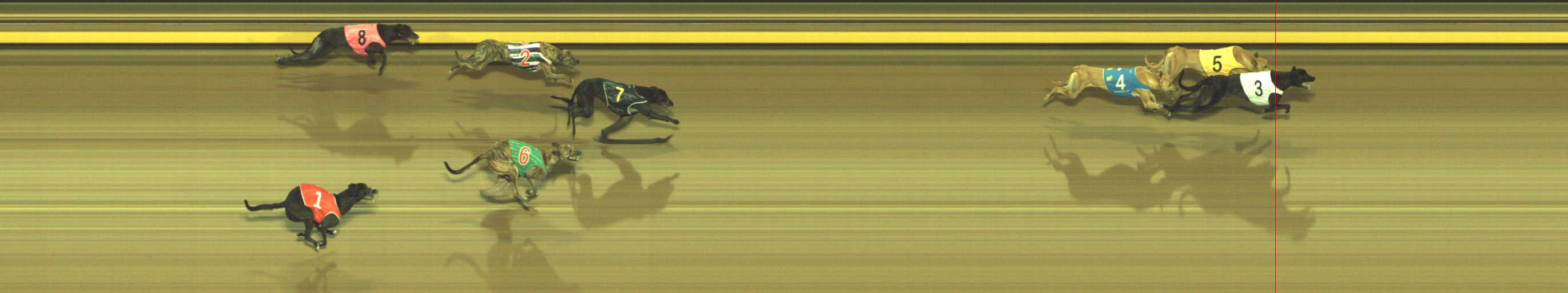 Photo finish for Geelong Race 7