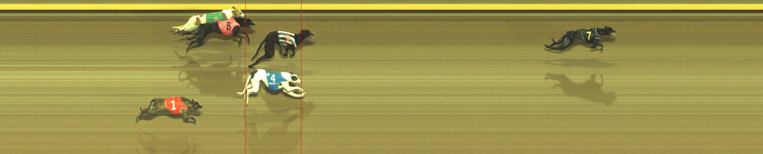 Photo finish for Geelong Race 8